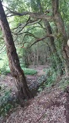 有鹿神社奥宮の周辺