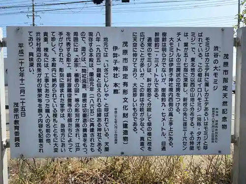 伊弉子神社の歴史