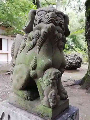 真清田神社の狛犬