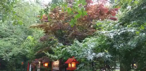 冠稲荷神社の自然