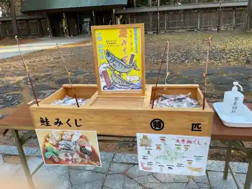 帯廣神社のおみくじ