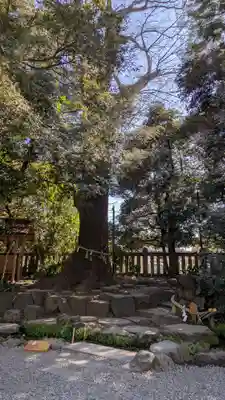 川越氷川神社(埼玉県)