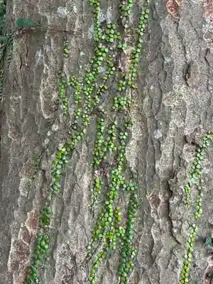 鹿島神社(茨城県)