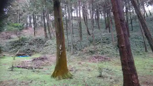 坂祝神社の自然