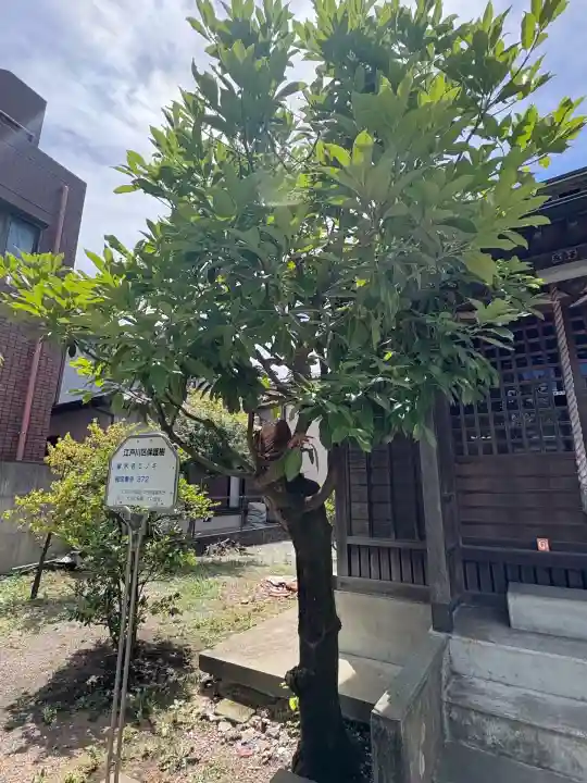 大当稲荷神社(東京都)