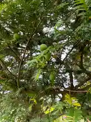 暮坪稲荷神社(福島県)