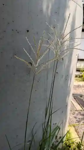 尊陽院(京都府)