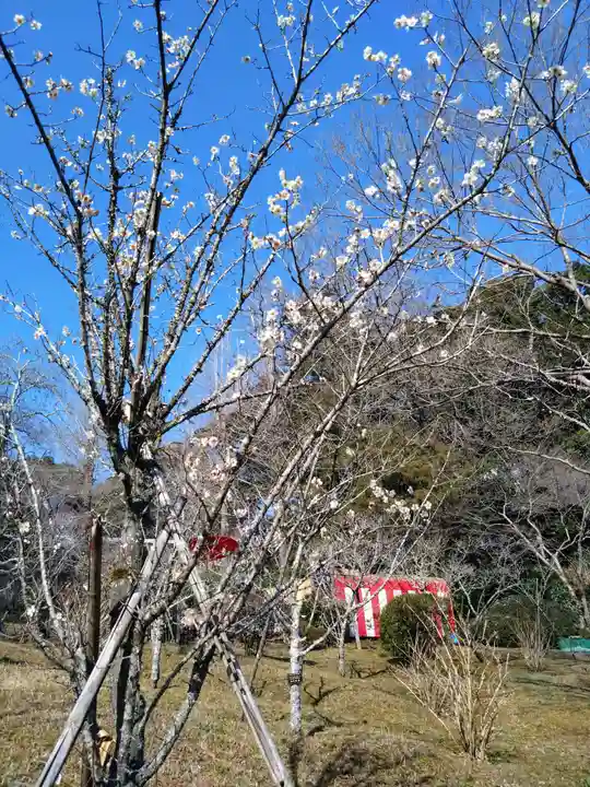 成田山新勝寺(千葉県)