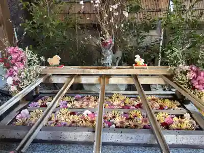 東京大神宮(東京都)