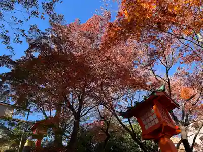 穴八幡宮(東京都)