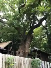 七所神社の建物その他