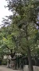 廣田神社(大阪府)