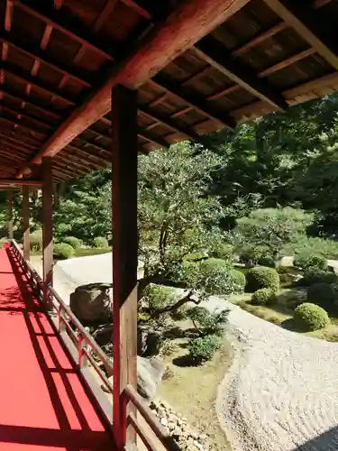 曼殊院門跡の庭園