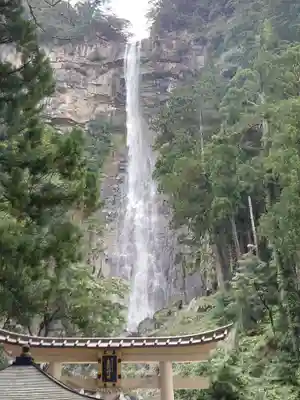 飛瀧神社(熊野那智大社別宮)(和歌山県)