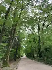 賀茂御祖神社（下鴨神社）の自然