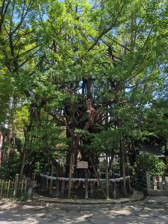 稲毛神社(神奈川県)