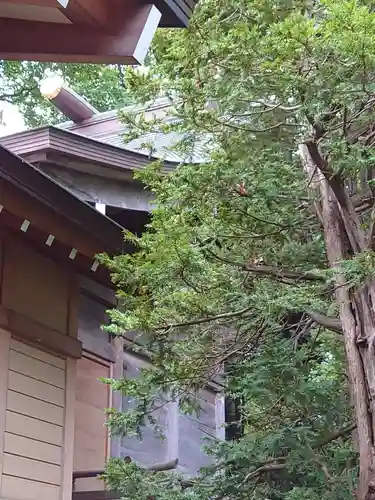 相馬神社の本殿