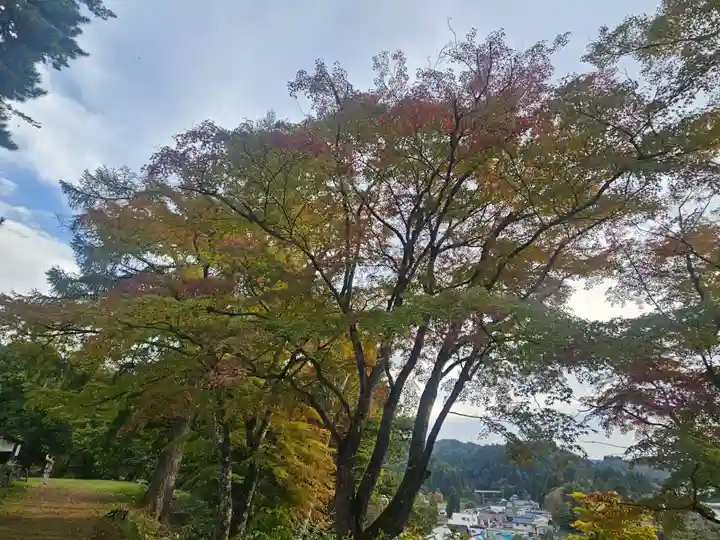 円蔵寺(福島県)
