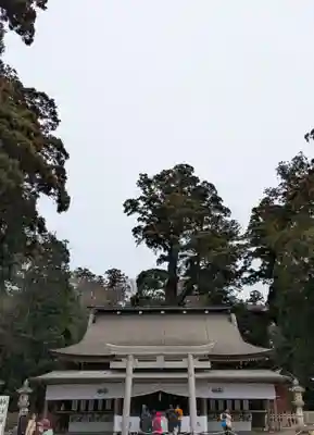 鹿島神宮(茨城県)