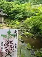 宗鏡寺(兵庫県)