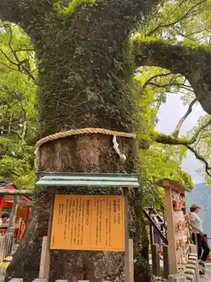御縣彦社(和歌山県)