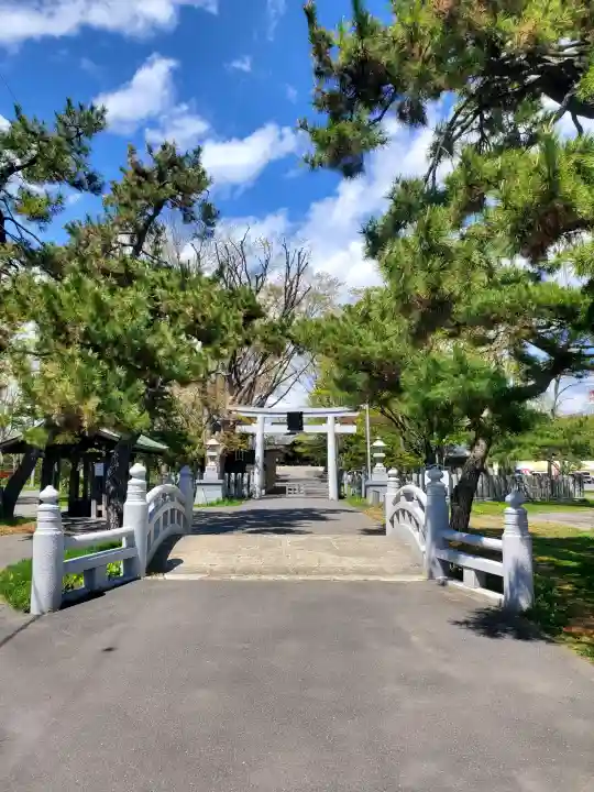 亀田八幡宮の{uncategorized: "未分類", other: "その他", undefined: "問題あり", building: "その他建物", grave: "お墓", sacred_gate: "鳥居", guardian: "狛犬", statue: "像", buddha: "仏像", history: "歴史", nature: "自然", garden: "庭園", animal: "動物", pagoda: "塔", temizu: "手水舎", mountain_gate: "山門・神門", sanctuary: "本殿・本堂", subordinate: "末社・摂社", art: "芸術", scenery: "景色", jizo: "地蔵", ema: "絵馬", goshuin: "御朱印", omikuji: "おみくじ", items: "授与品その他", amulet: "お守り", goshuincho: "御朱印帳", eats: "食事", festival: "お祭り", votive_dance: "神楽", shichigosan: "七五三参", wedding: "結婚式", experience: "体験その他", initially: "初詣", around: "周辺", anti_infection: "感染症対策"}