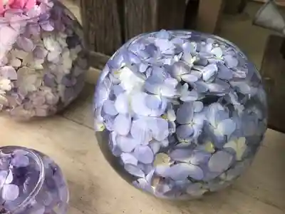 般若寺 ❁﻿コスモス寺❁(奈良県)