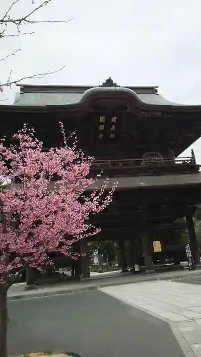 建長寺の山門・神門