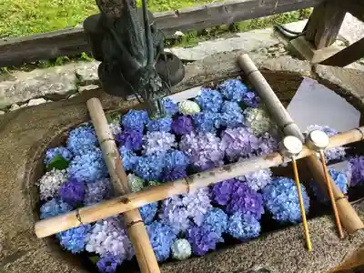 観心寺(大阪府)