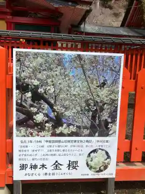金櫻神社(山梨県)