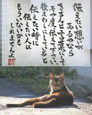 専念寺(大阪府)