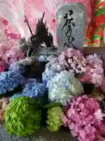 札幌諏訪神社の手水舎