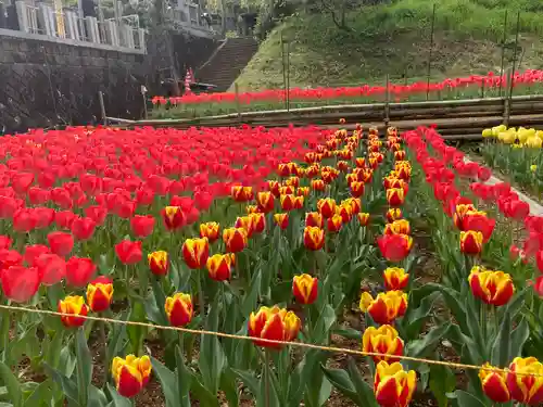 泉蔵寺の庭園