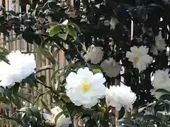 菊田神社の自然