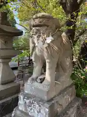 鴨島八幡神社の狛犬