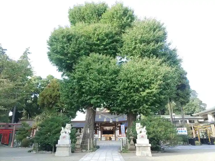 亀ケ池八幡宮のその他建物