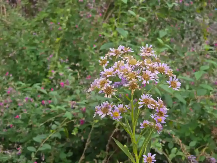 浄谷寺(大阪府)