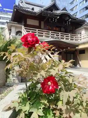 圓珠寺(東京都)