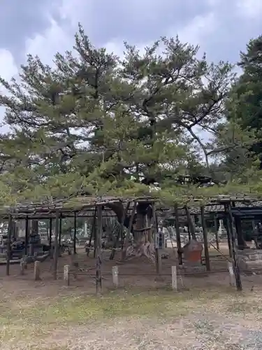 鏡忍寺(千葉県)