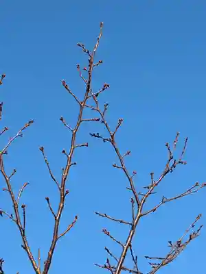 一乗院(和歌山県)