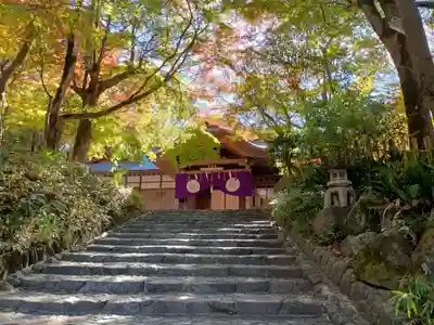 枚岡神社(大阪府)