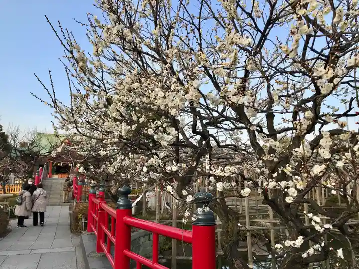 亀戸天神社(東京都)
