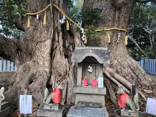 信太森神社（葛葉稲荷神社）(大阪府)