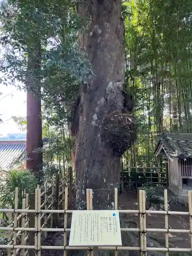 龍潭寺(静岡県)