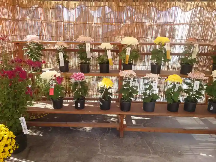 呑龍上人秩父教会(埼玉県)