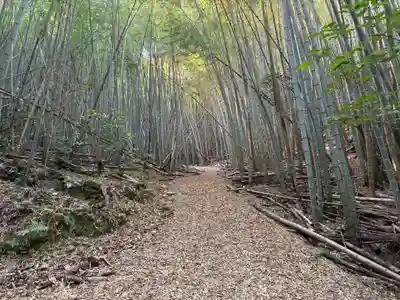 天一神社(徳島県)