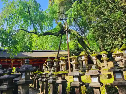 春日大社(奈良県)