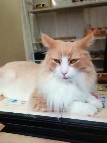 駒込妙義神社(東京都)