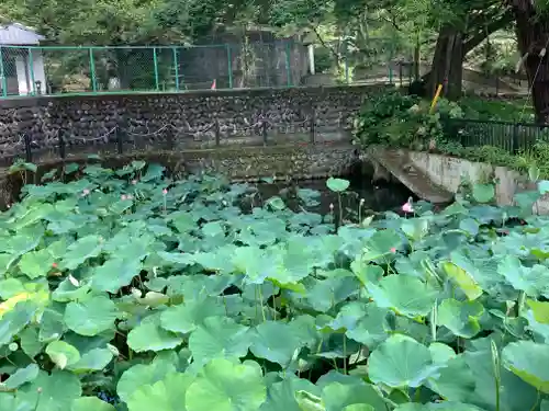 長林寺（西宮長林寺）の自然