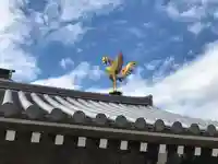 温泉山 安楽寺(四国霊場第六番札所)の狛犬